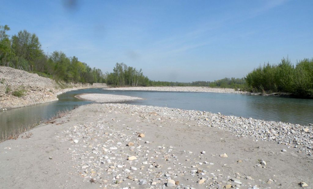Probabile ninfa di Electrogena del torrente Enza (PR)